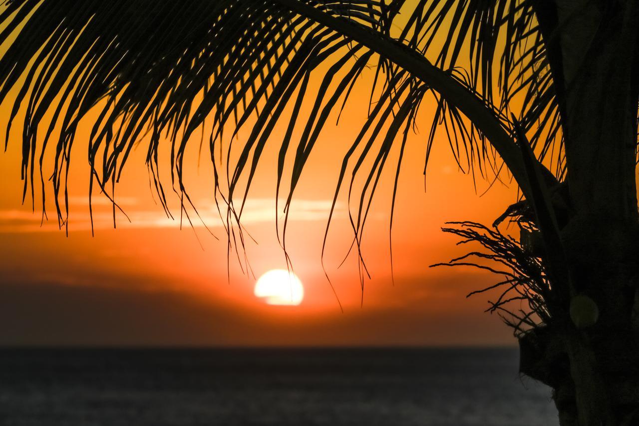 Miramar Surfcamp Villa Puerto Sandino Luaran gambar
